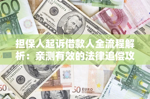 武汉担保人起诉借款人全流程解析：亲测有效的法律追偿攻略
