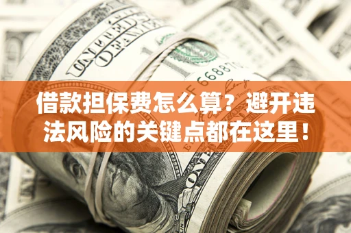 武汉借款担保费怎么算？避开违法风险的关键点都在这里！