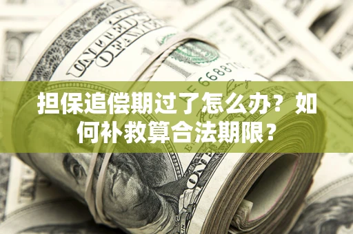 武汉担保追偿期过了怎么办？如何补救算合法期限？