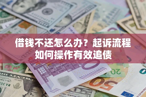 武汉借钱不还怎么办？起诉流程如何操作有效追债
