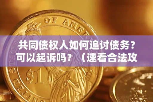 武汉共同债权人如何追讨债务？可以起诉吗？（速看合法攻略）