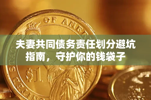 武汉夫妻共同债务责任划分避坑指南，守护你的钱袋子