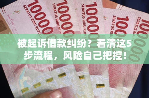 武汉被起诉借款纠纷？看清这5步流程，风险自己把控！